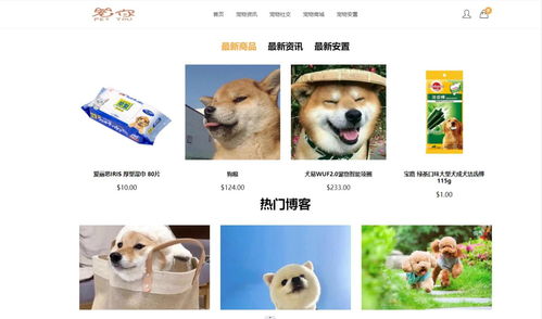 寵物服務(wù)網(wǎng)站的設(shè)計與實現(xiàn)